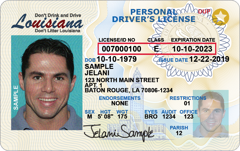 California Drivers Licenses Layout V 1 PSD Photoshop Document