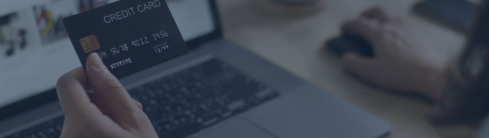 Customer Installment Payment Plan Portal